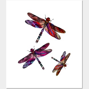 Ornate Dragon Fly Colorful Insect Illustration Posters and Art